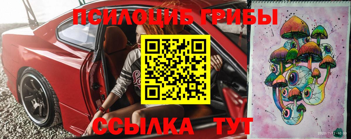 Можга  Галлюциногенные грибы Cubensis  наркота  Вход с VPN 
